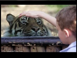 Para ver: 10 Ilusiones ópticas