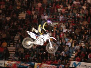 Celerity Freestyle Show