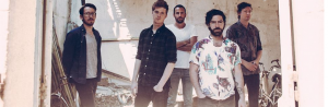 Foals