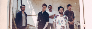 Foals