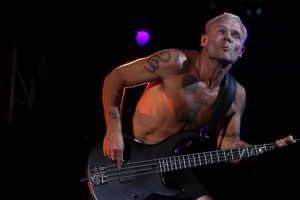 Flea