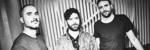 Foals