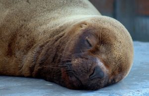 677773386_c4f02c5d37_z