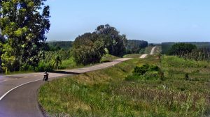 9334053789_6705049803_z