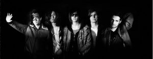 The strokes