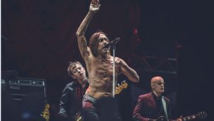 iggy pop