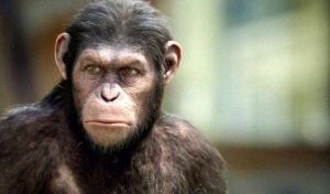 Planeta de los simios