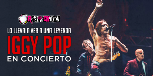 tw-iggypop