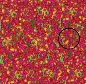 Imagen: www.infobae.com