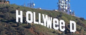 hollyweed