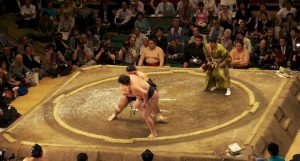sumo