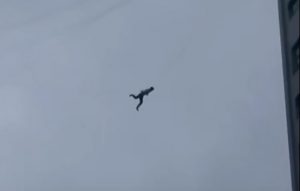 Foto: People's Daily, China