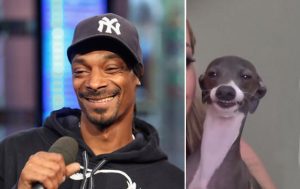 Snoop Dog