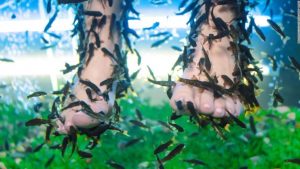 180702134820-01-fish-pedicure-super-tease