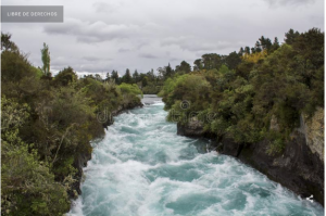 Captura de pantalla 2018-07-05 a las 3.49.12 p.m.