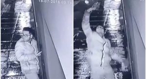 befunky-collage-7-1-900x485