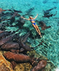 screen-shot-2018-07-11-at-11-42-50-a-m