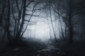 path in dark and scary forest