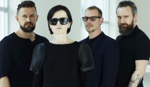 3848951_n_vir3-768x449