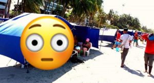 WhatsApp Image 2019-01-29 at 7.45.47 AM