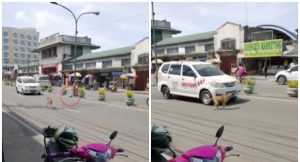 befunky-collage17-900x485