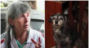 befunky-collage4-900x485