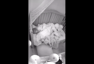 duerme-con-pitbull-calma-miedos