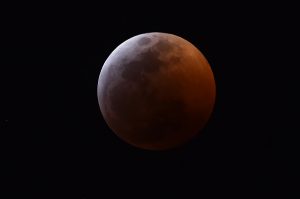 gettyimages-1085721574-594x594