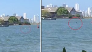 hombre-ahogado-678x381