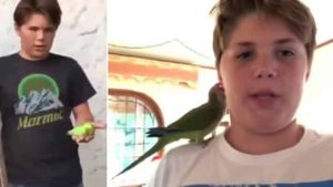 reaparecio-el-propietario-de-Chimuelo-con-una-pajarita-llamada-Menta-678x381