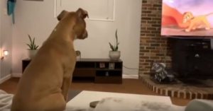 528f756c49501662c16b80fb0b190961711001219968f3ca7a1e9c170603dc42-768x402