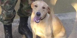 5c6ad4e2ee5fe.r_1550506896495.0-879-551-1155