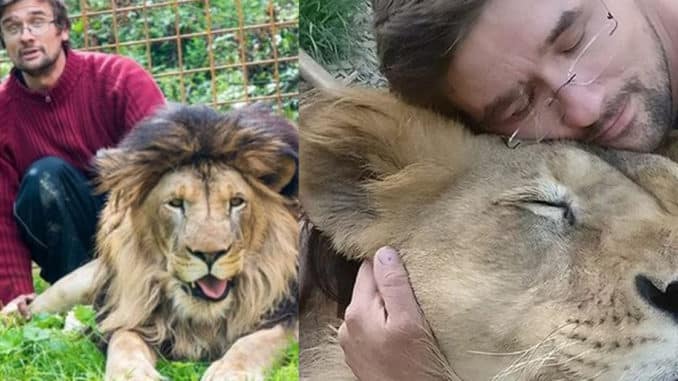 Hombre que cuidó durante años de dos leones fue devorado por ellos -  