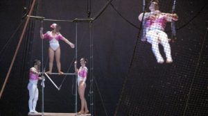 IMG_20190302_194345-800x450-800x445