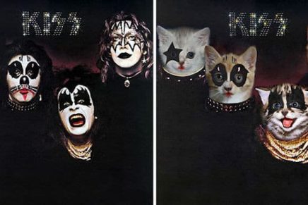 Gatos posan para ser protagonistas de famosas portadas de discos -  