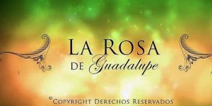 capturadepantall-1f2ed3d4768891ce3bb9ed2770a6cd94-1200x600