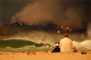 Un hombre y su perro sentados en la playa literalmente viendo el mundo arder.
