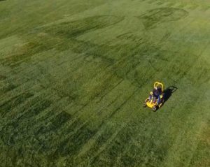 Kobe Bryant pastizal