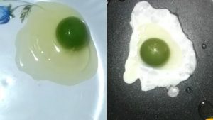 huevos verdes