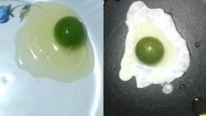 huevos verdes