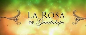 rosa de guadalupe