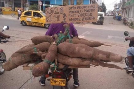 ¿Cómo? La 'Superyuca' de 140 kilos que dejó sorprendidos a todos