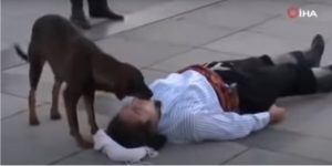 ¿Entrometido? Perro se coló en obra de teatro callejera