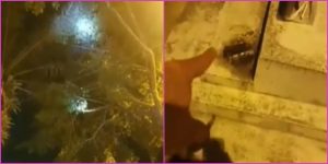 ¿Una bruja se burló de unos policías? Esta es la verdadera historia