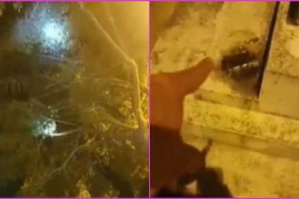 ¿Una bruja se burló de unos policías? Esta es la verdadera historia