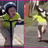 ¡Lo va a coger! Pájaro persigue a niño mientras monta patineta y las redes estallan de la risa
