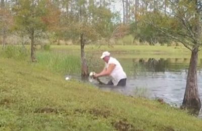 VIDEO: sujeto rescata a un cachorro que había sido atrapado por un caimán