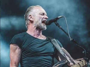 sting