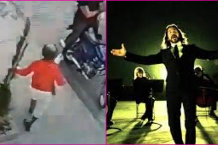 ¿A dónde vamos a parar? Delincuentes se roban las plantas de la calle