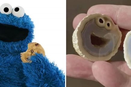 Descubren piedra idéntica al 'Monstruo come galletas' y se vuelve viral